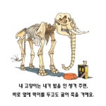 세상에서 가장 어리석은 내 고양이 | - 교보문고