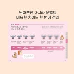코알라식 영어 뉘앙스 도감 | 코알라학교 - 교보문고