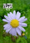 들꽃편지 제2권 쑥부쟁이꽃 | 최용우 - 교보문고