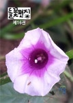 들꽃편지 제16권 고구마꽃호 | 최용우 - 교보문고