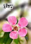 들꽃편지 제19권 모과꽃호 | 최용우 - 교보문고
