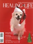 힐링앤라이프(Healing N Life)(2022년 겨울호) | 약사신문 편집부 - 교보문고