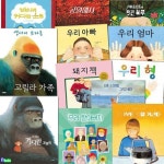 앤서니 브라운의 4세-6세 추천그림책 12권 세트... 멋진하루.우리형.우리엄마.우리아빠.돼지책.고릴라가족/웅진주니어/(set11785) | - 교보문고