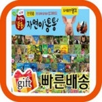 뉴자연이통통/2019년 강력추천/전93종/감사사은품증정/첫자연동화/자연그림책 | - 교보문고 뉴자연이통통/2019년 강력추천/전93종... 