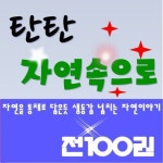 [여원미디어]탄탄자연속으로/전100권/최신간 정품새책 | - 교보문고