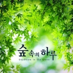 숲 속의 하루(CD) | - 교보문고