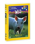 동물농장의 친구들(DVD) | 삼수미디어 편집부 - 교보문고