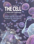 The Cell A Molecular Approach, 4th Ed. + Lecture Notebook | Cooper, Geoffrey M./ Hausman, Robert E. - 교보문고