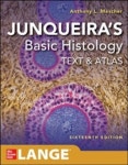 Junqueiras Basic Histology | Mescher, Anthony L. - 교보문고