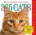 365 Cats Page-A-Day Calendar 2019 | Workman (COR) - 교보문고