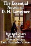 The Essential Novels of D. H. Lawrence | D H Lawrence - 교보문고