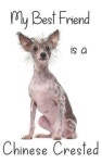 My best Friend is a Chinese Crested | Prints, Daisy Doodle - 교보문고