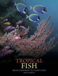 경기트로피칼피쉬 | Tropical Fish | Alderton, David - 교보문고