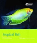 경기트로피칼피쉬 | Tropical Fish | Jepson, Lance - 교보문고