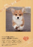 5111.SANNOマイプラン家計簿A5 | 相澤若菜／編 - 교보문고