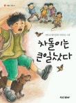 차돌이는 큰일났다(햇볕은 쨍쨍 2) | 선안나 - 교보문고