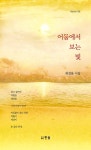 어둠에서 보는 빛 | 최경용 - 교보문고