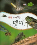 맴맴 노래하는 매미 | 유영진 - 교보문고