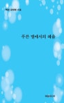 푸른 별에서의 혜윰 | 김대영 - 교보문고