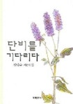 단비를 기다리다 | 정양숙 - 교보문고