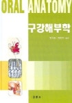 구강해부학 | 장기환 - 교보문고