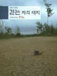 걷는 자의 대지: 길에서 만난 생명들 | 하창수 - 교보문고