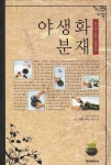 야생화 분재 | 강일창 - 교보문고