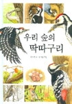 우리 숲의 딱따구리 | 황보연 - 교보문고