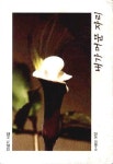 내가 머문 자리 | 안상기 - 교보문고