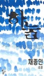 하눌 | 채종인 - 교보문고