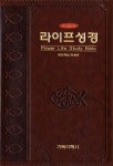 파워라이프성경(개역한글판)(찬송가)(중)(색인)(브라운) | 전봉준 책임편집 - 교보문고