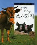 소와 돼지 | 양미진 - 교보문고