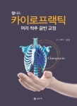 카이로프랙틱 | 서우수 - 교보문고