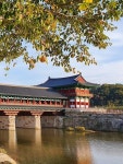 교보문고 역사여행 | 천년고도 경주를 걷다 | 박광일 - 교보문고