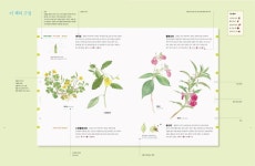 웅진 세밀화 식물도감 | 심조원 - 교보문고