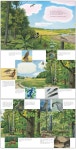 숲속 산책 | 토마스 뮐러 - 교보문고
