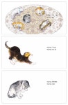 몽실몽실 고양이 | 이미애 - 교보문고