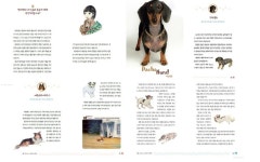 강아지야, 내 동생이 돼 줄래? | 김아랑 - 교보문고