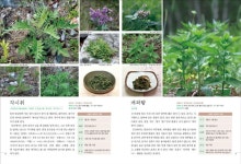 산에 들에 우리 나물 | 이형설 - 교보문고