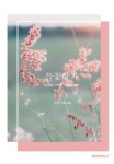 들꽃향기 | 교보문고 | 꽃피는아침마을