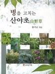 병을 고치는 산야초 | 교보문고 | 꽃피는아침마을