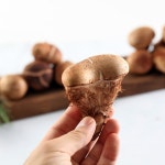 산아래참송이 참송이버섯 특상 1kg [1개] - 에누리 가격비교