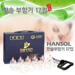 한솔의료기 [한솔의료기] 한솔부항기 일반형 17컵 - 에누리 가격비교