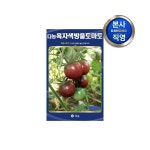 다농흑자색방울토마토씨앗 1000립 - 에누리 가격비교