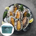 해신수산 완도 활전복 특특大 5~6미 1kg [1개] - 에누리 가격비교