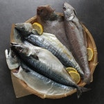 영어조합법인 올래밥상 제주 올래 반건조 모듬 4미1.2kg 반건조고등어+삼치+가자미+민어 - 에누리 가격비교