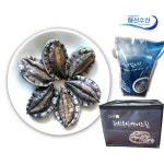 해신수산 완도 활전복 특특大 6~7미 1kg [1개] - 에누리 가격비교