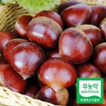 푸드마인 23년 공주밤 정안 알밤 4kg 특품 햇밤 - 에누리 가격비교