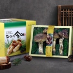 참자연영농조합 강원도 자연산 능이버섯 500g [1개] - 에누리 가격비교