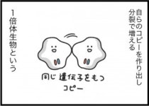 画像・写真 | 種田ことびさんのインスタ漫画『ゆるゆる生物日誌』 23枚目 | ORICON NEWS 画像・写真 | 種田ことびさんのインスタ漫画... 